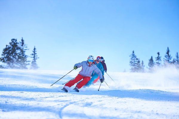 Master the slopes: private ski lessons in les deux alpes